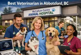  Best Veterinarian in Abbotsford, BC, 100 Mile House