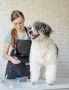 Cheap Mobile Pet Groomers Fort Worth TX Near You , Fort Worth