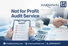 Elite‑Quality Not for Profit Audit Service, San Diego