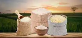 Buy Best Basmati Rice in India at Wholesale Price, Bengaluru