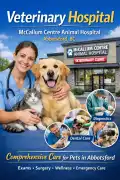 Veterinary Hospital, Acadia Valley