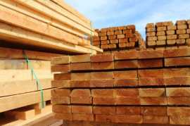 Lumber Prices for The Coming Year, Taby