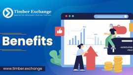 Timber Exchange Platform Provides a Paid Market, Taby