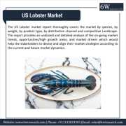 US Lobster Market (2024-2030) |6Wresearch, Delhi