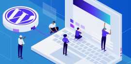 The Best WordPress Development Services in India, Delhi
