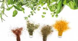 Animal Feed Extracts - Manipal Natural, Bengaluru