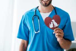 Unlocking the Beat: The Importance of Pet Heart , Chicago