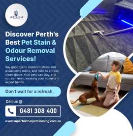 Reliable Pet Stain & Odour Removal Services Pe, Perth