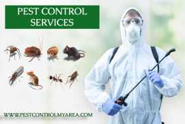 Pest Control Near Me United States, Phoenix