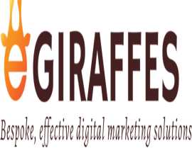 Top SEO Agency in Pune: E Giraffes Digital Pvt Ltd, Pune