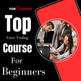 Top Forex Trading Courses For Beginners, Mandi