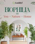 Sophisticated Style: Redefining Home Décor LushLyf, Bengaluru