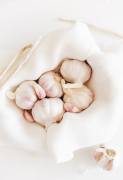 Debunking the Myth: Are Garlics Toxic for Dogs?, Bengaluru