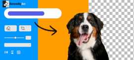 Effortlessly Erase Backgrounds from Images for Fre, Ahmedabad