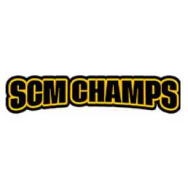 SCM Champs Inc. : Leading SAP Consulting Company, Wilmington