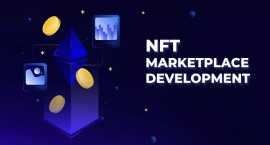 Navigating the NFT Boom: Dappkodes Customize Solut, Miami