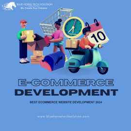 Best Ecommerce Website Development 2024, Jaipur