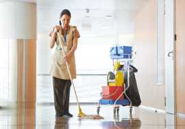 Salem Sparkle: Premier Maid Service Tailored to Yo, Roanoke
