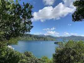 Picton Camping Experiences: Creating Memories in N, Sydney