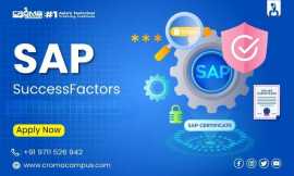 Best Sap Success Factors Training At Croma Campus, Noida