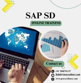 Expert-Guided SAP SD Training: Enroll Now, Bengaluru