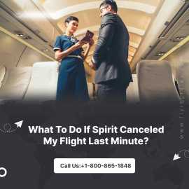 What To Do If Spirit Canceled My Flight Last Minut, Worcester