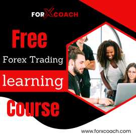 Free Forex Trading learning Course, Mandi