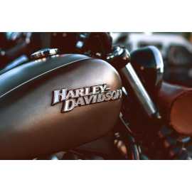 Harley Davidson Rental in New Orleans