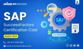 Sap Success Factor Training At Croma Campus, Noida