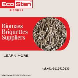 Green Solution Top Biomass Briquettes Manufacturer, Ludhiana