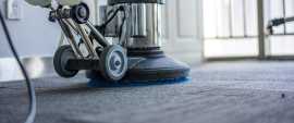 Book Commercial and Office Rug Cleaning Services, New York
