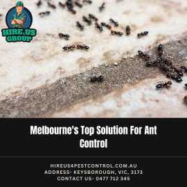 Melbourne's Top Solution For Ant Control