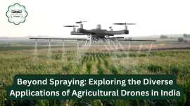 EXPLORING THE DIVERSE APPLICATIONS OF AGRICULTURAL, Rp 0