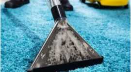 Affordable & Organic Carpet Cleaning , Brisbane