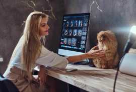 Increase Your Pet Grooming Reach With Online , Chicago