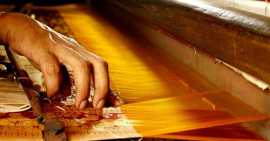 Unraveling the Australia Silk Market, Delhi