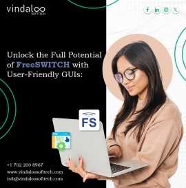 Unlock the Full Potential of FreeSWITCH with User-, New York