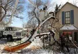 Roanoke's Reliable Storm Damage Cleanup: Restoring, Roanoke