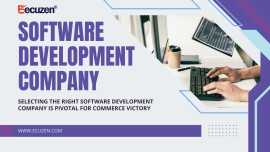 Best Software Development Company in Jaipur, Jaipur