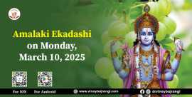 Share Market Astrology By Date of Birth, Noida