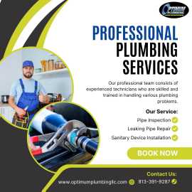 Trusted Tampa Bay Plumbers for Quality Service, Tampa