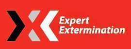 Expert Extermination Montreal, Montreal