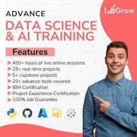 1stepGrow expert-Led Online Courses!, Bengaluru