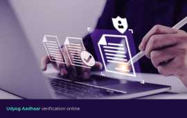 Verify your udyam aadhaar with Surepass API, New Delhi