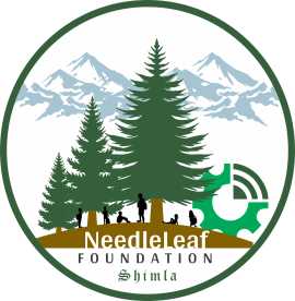 Needleleaf Foundation, Shimla