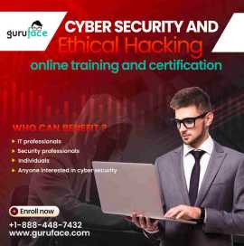 Learn Cybersecurity and Ethical Hacking Online, Frisco