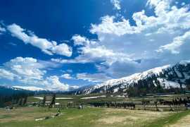 Explore Sonamarg – Gateway to Kashmir's Glaciers, Jaipur