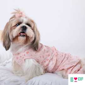 Soft and Cozy Dog Clothes for All Breeds, New Delhi