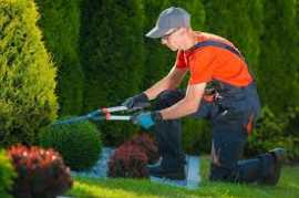 garden maintenance services near me, Melbourne