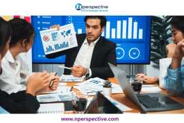 Fractional CFO Services in Atlanta | Nperspective, Atlanta